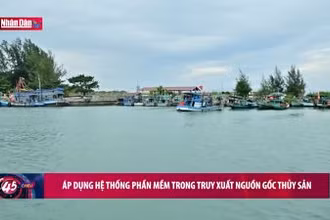 Áp dụng hệ thống phần mềm trong truy xuất nguồn gốc thủy sản