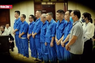 "Mập mờ doanh nghiệp sân sau" trúng thầu nghìn tỷ