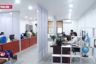 Đẩy nhanh tốc độ thông quan hàng hóa dịp cuối năm