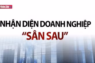Nhận diện doanh nghiệp “sân sau”
