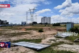 Luật Đất đai 2024 khắc phục những bất cập trong tiếp cận đất đai
