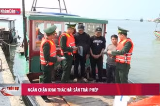 Ngăn chặn khai thác hải sản trái phép