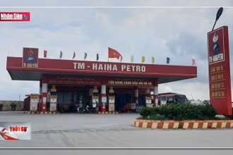 Xem xét tước giấy phép hai doanh nghiệp lạm dụng quỹ bình ổn xăng dầu