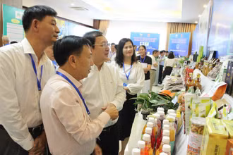 Các đại biểu tham quan gian hàng tại hội nghị