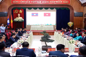 Các đại biểu dự hội nghị.
