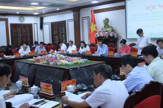 Các đại biểu dự hội nghị.