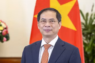 Bộ trưởng Ngoại giao Bùi Thanh Sơn. (Ảnh: Bộ Ngoại giao)