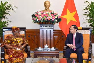 Bộ trưởng Ngoại giao Bùi Thanh Sơn tiếp Tổng Giám đốc WTO Ngozi Okonjo-Iweala. 