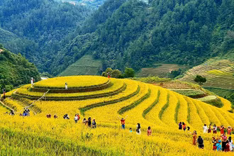 Du khách khám phá vẻ đẹp của ruộng bậc thang tại xã La Pán Tẩn, huyện Mù Cang Chải (Yên Bái). (Ảnh Hạnh Hoàng) 