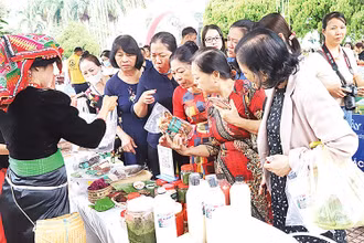Các sản phẩm khởi nghiệp được sản xuất từ nông sản hữu cơ luôn được ưa chuộng