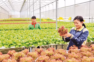 Xây dựng Bệnh viện đa khoa Trung ương khu vực Tây Nguyên 