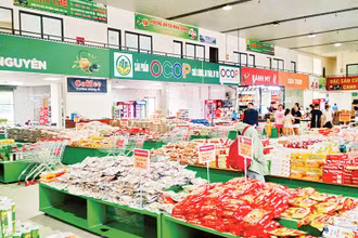 Hàng trăm sản phẩm OCOP của tỉnh Thái Nguyên được giới thiệu, bày bán tại Trạm dừng nghỉ Hải Đăng trên tuyến cao tốc Hà Nội - Thái Nguyên.