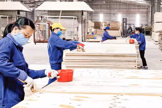 Chế biến gỗ xuất khẩu trong khu công nghiệp Thanh Bình. (Ảnh HƯƠNG DỊU)
