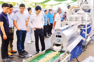 Trình diễn công nghệ chế biến hạt điều ở Bình Phước.