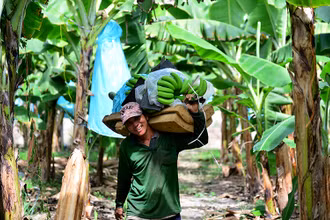 Lưới đỡ an sinh cho người yếm thế