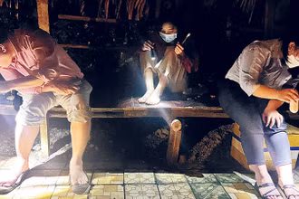 Các nhân viên y tế đưa đôi chân trần làm mồi “câu” muỗi.