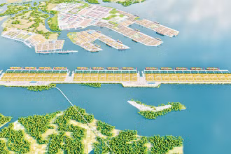 Đầu tư Cảng trung chuyển quốc tế Cần Giờ vừa không để mất cơ hội nhưng phải bảo vệ môi trường sinh thái.