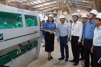 Bàn giao máy móc cho công ty CP Việt Séc.