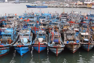 Toàn bộ tàu cá Đà Nẵng đã được thống kê và đưa vào theo dõi, quản lý.