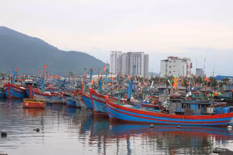Việt Nam đã đạt được một số kết quả nổi bật trong chống khai thác IUU.