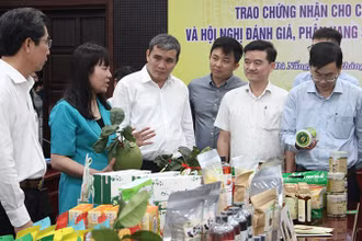 Đại biểu tìm hiểu về các sản phẩm OCOP.