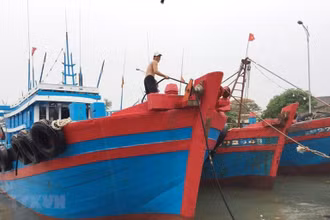 Ảnh minh họa. (Nguồn: TTXVN)