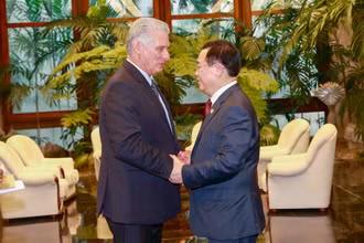 Chủ tịch Quốc hội Vương Đình Huệ hội kiến Chủ tịch nước Cộng hòa Cuba Miguel Díaz-Canel.