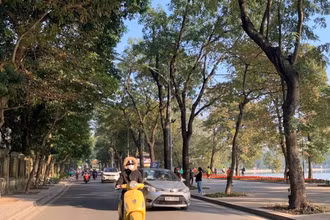 Ảnh minh họa.