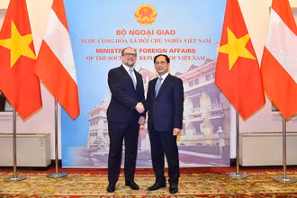 Bộ trưởng Ngoại giao Bùi Thanh Sơn với Bộ trưởng Ngoại giao Cộng hòa Áo Alexander Schallenberg.