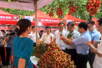 Nông nghiệp Hưng Yên hướng tới sản xuất hàng hóa theo chuỗi giá trị, hiệu quả và an toàn 