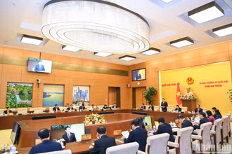 Quang cảnh phiên họp. (Ảnh: DUY LINH)