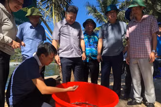 Giám đốc Trung tâm Khuyến nông quốc gia Lê Quốc Thanh thăm mô hình nuôi tôm ở Quảng Bình.