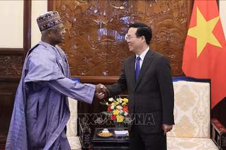 Chủ tịch nước Võ Văn Thưởng tiếp Đại sứ Nigeria Hassan Adamu Mamani. (Ảnh: TTXVN)