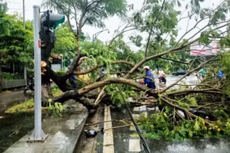 Giông lốc gây ngã đổ cây xanh trên địa bàn TP Huế trưa ngày 4/5.