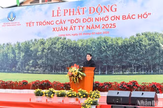 Chủ tịch nước Lương Cường phát biểu tại buổi lễ.