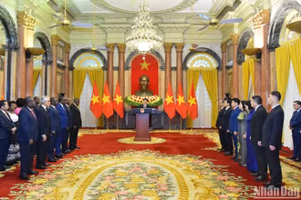Chủ tịch nước Lương Cường phát biểu tại lễ trình Quốc thư của Đại sứ kiêm nhiệm các nước. (Ảnh THỦY NGUYÊN)