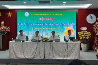 Các đại biểu chủ tọa chia sẻ các thông tin về Sàn giao dịch cao-su.