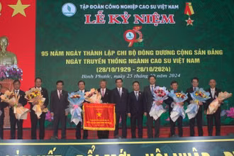 Tập đoàn Công nghiệp Cao-su Việt Nam nhận Cờ thi đua Chính phủ.