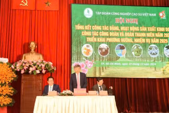 Lãnh đạo Tập đoàn VRG chủ trì Hội nghị.