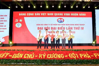 Ban chấp hành Đảng bộ Bảo hiểm Agribank khóa IV nhiệm kỳ 2025-2030 ra mắt Đại hội.