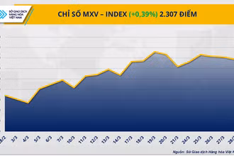 Chỉ số MXV-Index.