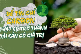 Để tín chỉ carbon thật sự trở thành tài sản có giá trị