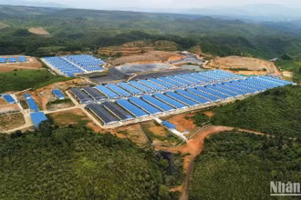 Công ty TNHH Chăn nuôi Quảng Sơn bị xử phạt hành chính 110 triệu đồng vì đã vi phạm các quy định về xả nước thải ra môi trường.