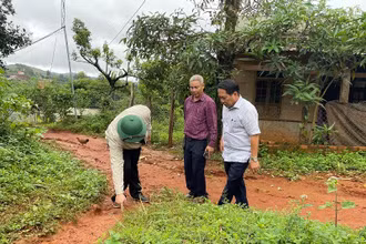 Lãnh đạo huyện Tuy Đức và xã Quảng trực kiểm tra hiện trường vụ nứt gãy địa chất.