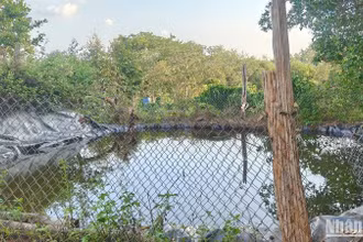 Hiện trường nơi xảy ra vụ đuối nước khiến 2 cháu nhỏ tại xã Đạo Nghĩa, huyện Đắk R'lấp, tỉnh Đắk Nông tử vong.