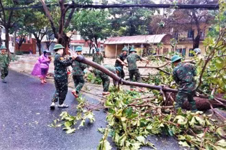 Cán bộ, chiến sĩ Bộ Chỉ huy quân sự thành phố Đà Nẵng dọn cây xanh ngã đổ trên các tuyến đường.