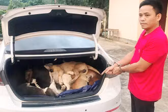 Đối tượng Ngô Bá Phát và tang vật.