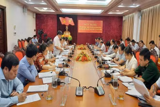 Các đại biểu tại buổi làm việc.