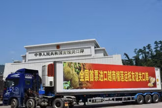 Lô hàng sầu riêng Việt Nam đầu tiên xuất khẩu sang Trung Quốc qua cửa khẩu Hữu Nghị Quan, Quảng Tây. (Ảnh: Nhật báo Quảng Tây)