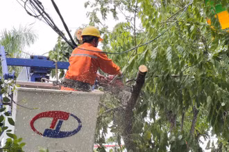 Công ty Điện lực Quảng Ngãi (thuộc Tổng công ty Điện lực miền trung-EVNCPC) đang phối hợp với các đơn vị, lực lượng chức năng khắc phục hậu quả bão số 4, nỗ lực sớm khôi phục cấp điện trở lại cho các khách hàng bị mất điện do bão. 
